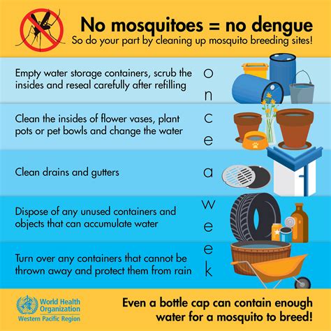 dengue clean up day sanhi at bunga|Dengue Fever Symptoms and Prevention .